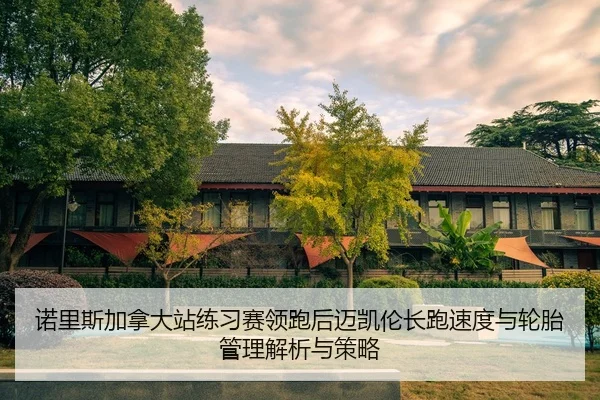 诺里斯加拿大站练习赛领跑后迈凯伦长跑速度与轮胎管理解析与策略