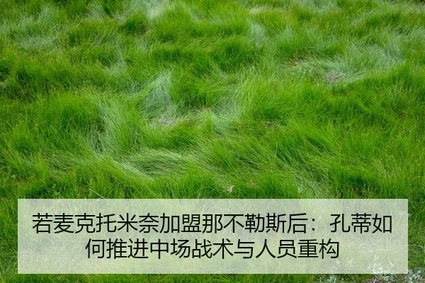 ruo-mai-ke-tuo-mi-nai-jia-meng-na-bu-le-si-hou-kong-di-ru-he-tui-jin-zhong-chang-zhan-shu-yu-ren-yuan-zhong-gou-2-628.jpg