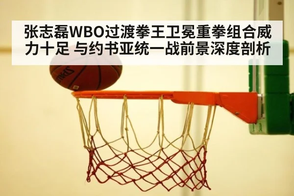张志磊WBO过渡拳王卫冕重拳组合威力十足 与约书亚统一战前景深度剖析