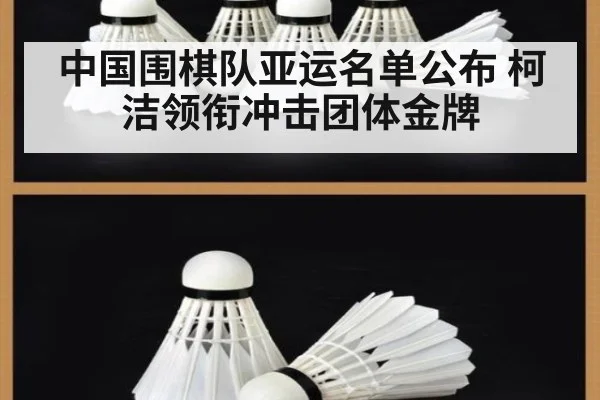 中国围棋队亚运名单公布 柯洁领衔冲击团体金牌